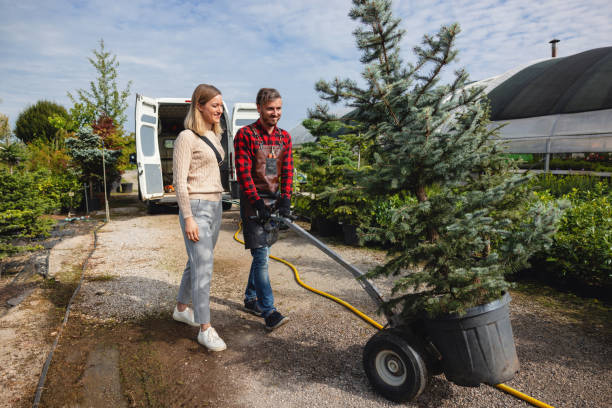 Tree Service